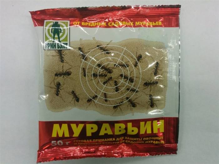 Боротьба з мурахами на садовій ділянці - ефективні засоби