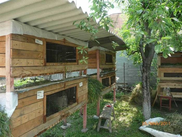 Крольчатник власноруч - креслення та розміри