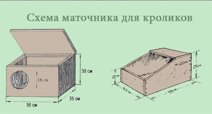 Крольчатник своїми руками - креслення та розміри