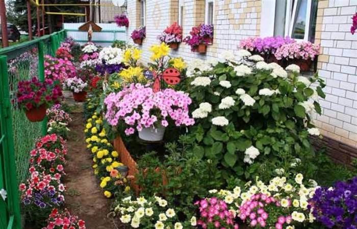 Як оформити палісадник перед будинком своїми руками - ідеї дизайну