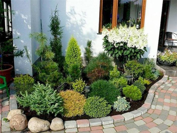 Як оформити палісадник перед будинком своїми руками - ідеї дизайну