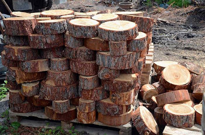 Доріжка зі спилів дерева своїми руками: як зробити