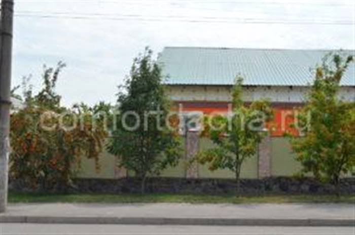 Дерево горобина в ландшафтному дизайні дачі