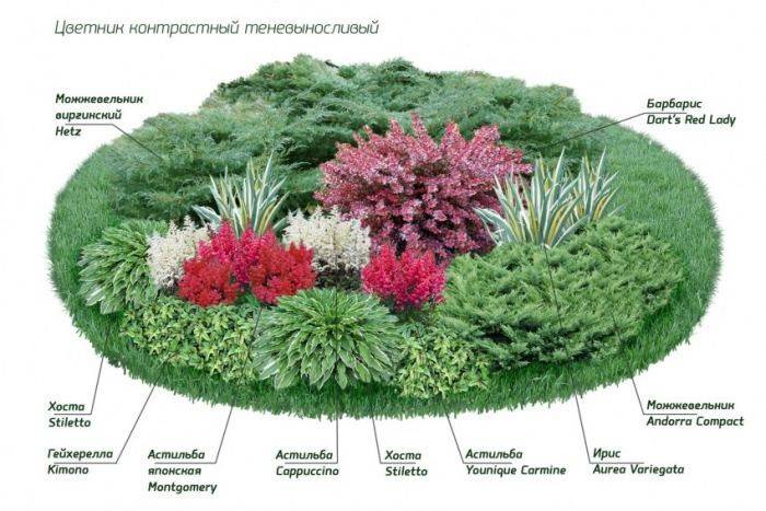 Квітник на дачі для початківців - як зробити клумбу своїми руками