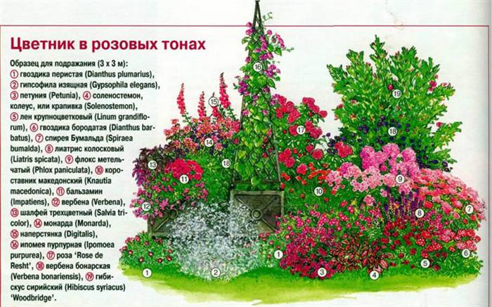 Квітник на дачі для початківців - як зробити клумбу своїми руками