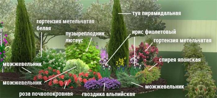 Гортензія в ландшафтному дизайні: як красиво посадити на ділянці