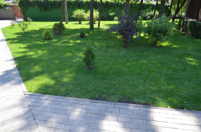 Як оформити гарний газон перед будинком своїми руками - керівництво