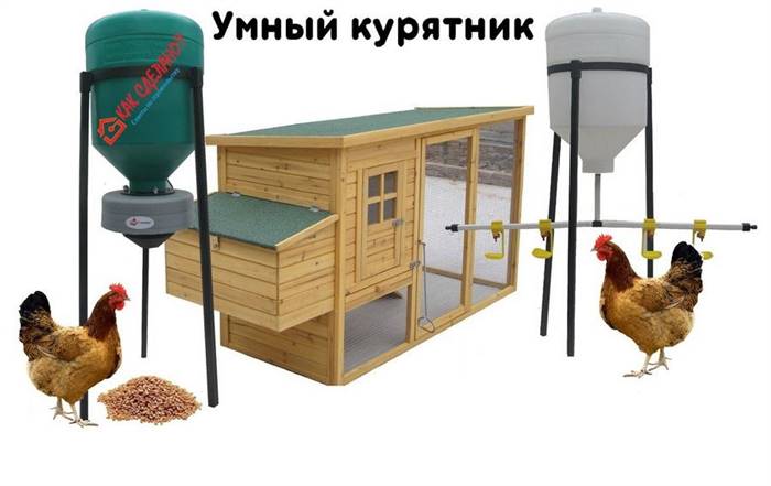Облаштування курника для несучок всередині своїми руками