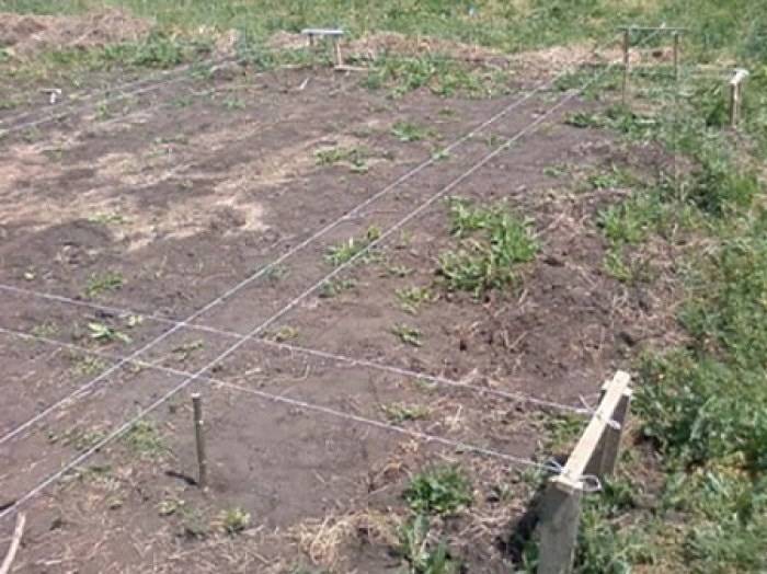 Як побудувати хозблок із піноблоків своїми руками