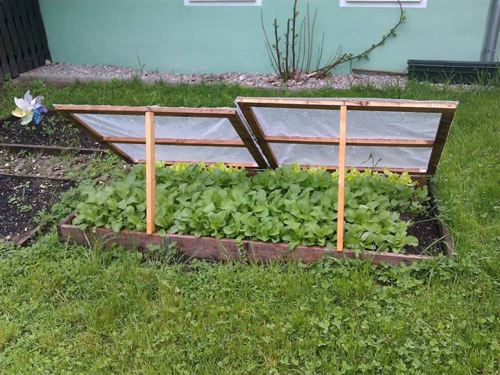 Дерев'яні грядки для городу своїми руками