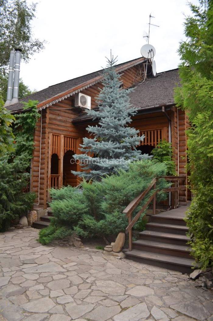 Як зробити доріжки з каменю на дачі своїми руками