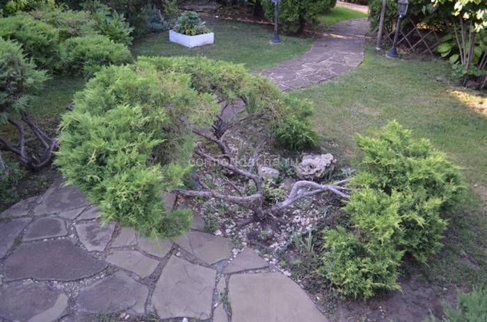 Як зробити доріжки з каменю на дачі своїми руками
