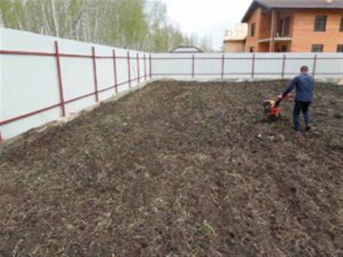 Коли садити газонну траву на дачі: восени чи навесні краще Коли садити газонну траву на дачі: восени чи навесні краще