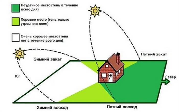 Якою має бути відстань між плодовими деревами на дачі